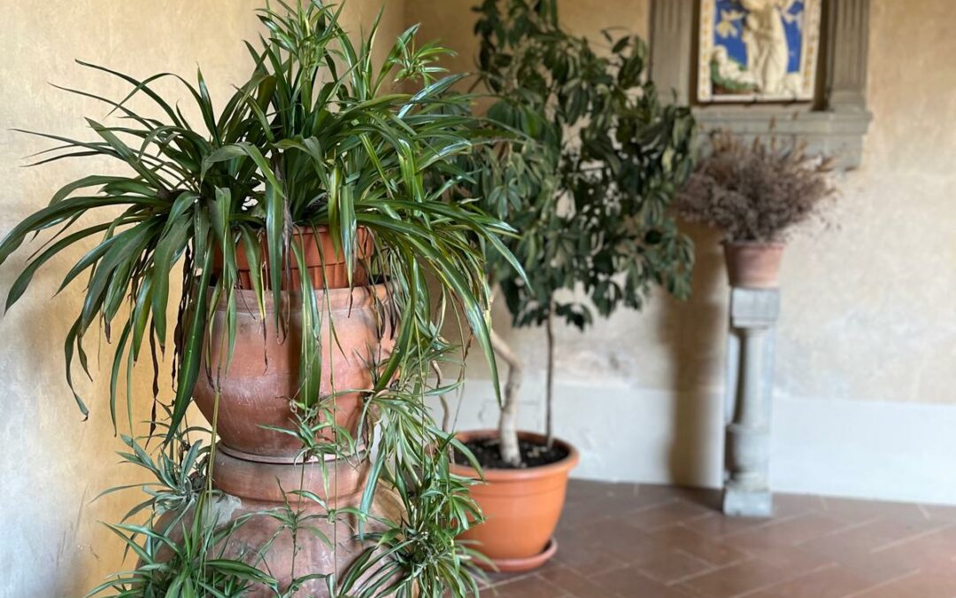 A Spiritual Spring in Tuscany: Retreat at Eremo di Lecceto