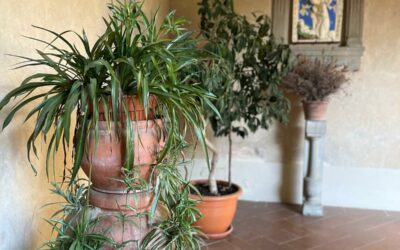 A Spiritual Spring in Tuscany: Retreat at Eremo di Lecceto
